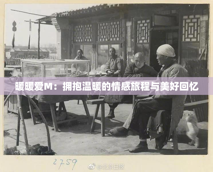 暖暖爱M：拥抱温暖的情感旅程与美好回忆