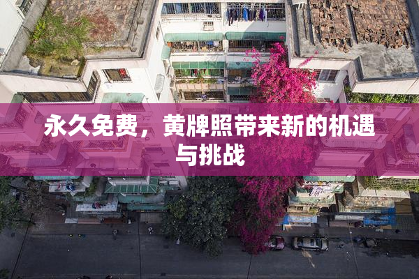 永久免费，黄牌照带来新的机遇与挑战