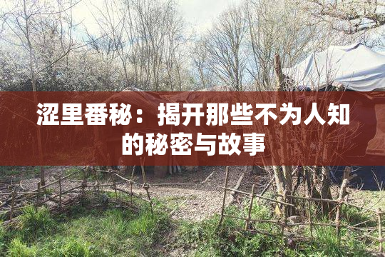 涩里番秘：揭开那些不为人知的秘密与故事