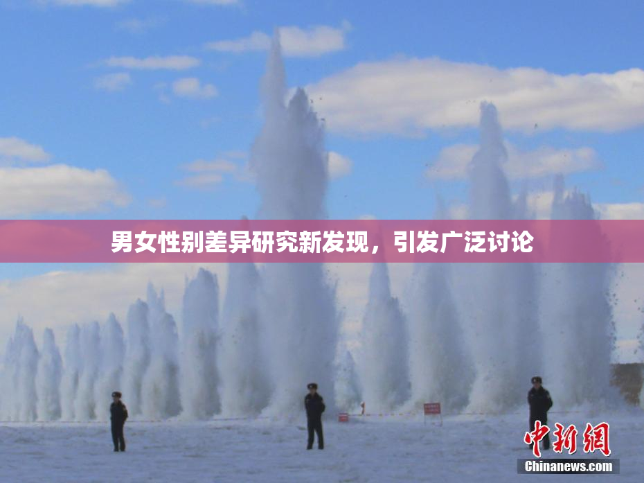 男女性别差异研究新发现，引发广泛讨论