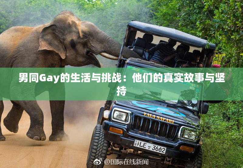 男同Gay的生活与挑战：他们的真实故事与坚持