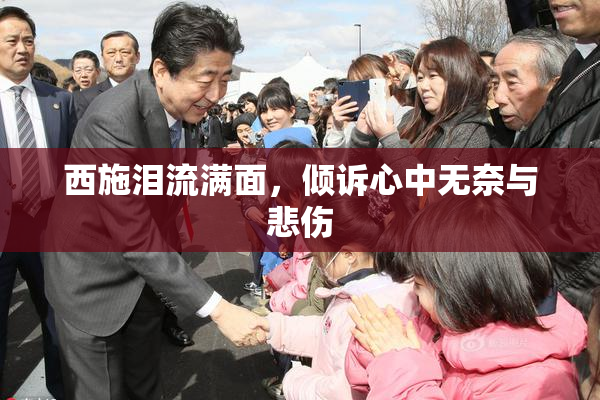 西施泪流满面，倾诉心中无奈与悲伤