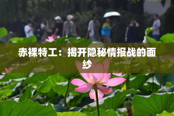 赤裸特工：揭开隐秘情报战的面纱