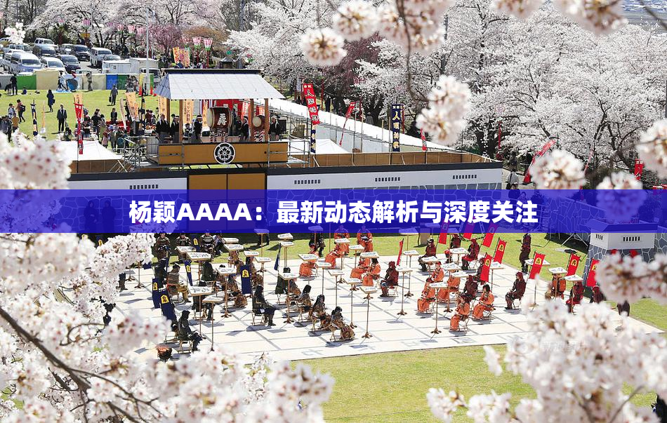 杨颖AAAA：最新动态解析与深度关注