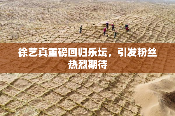 徐艺真重磅回归乐坛，引发粉丝热烈期待