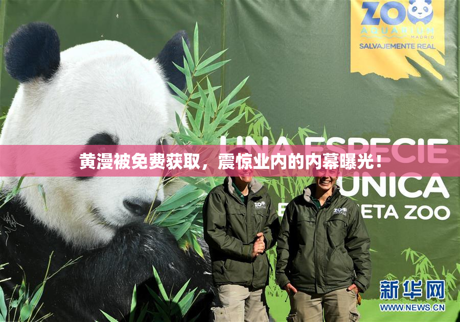 黄漫被免费获取，震惊业内的内幕曝光！