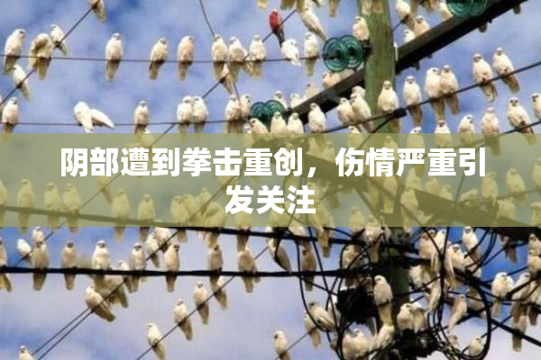 阴部遭到拳击重创，伤情严重引发关注