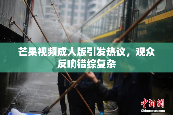 芒果视频成人版引发热议，观众反响错综复杂