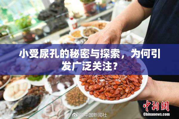 小受尿孔的秘密与探索，为何引发广泛关注？