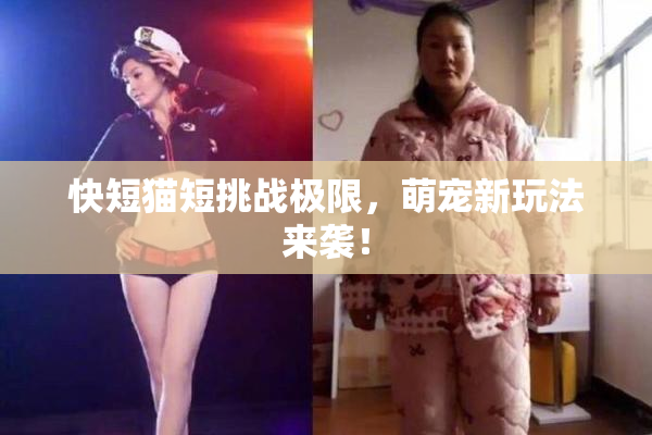 快短猫短挑战极限，萌宠新玩法来袭！
