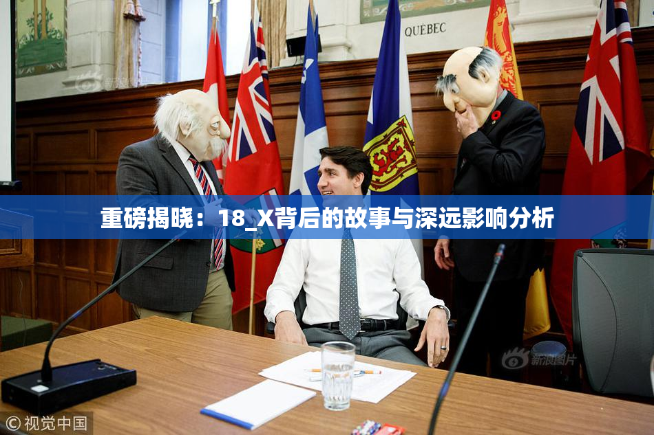 重磅揭晓：18_X背后的故事与深远影响分析