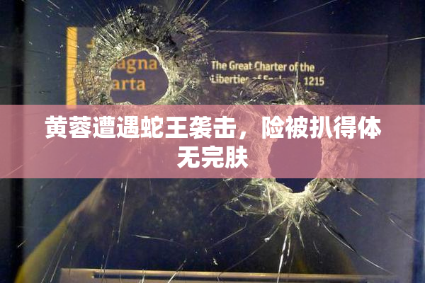 黄蓉遭遇蛇王袭击，险被扒得体无完肤
