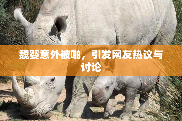 魏婴意外被啪，引发网友热议与讨论