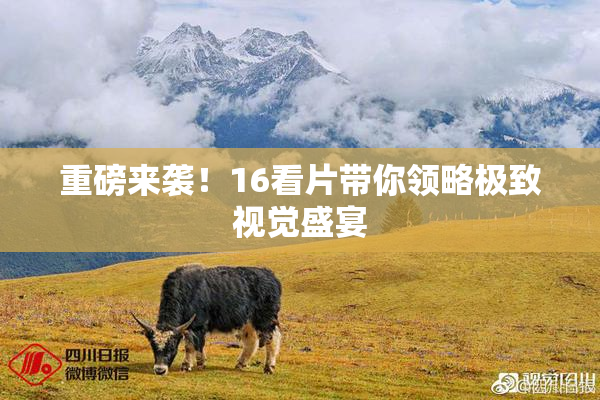 重磅来袭！16看片带你领略极致视觉盛宴