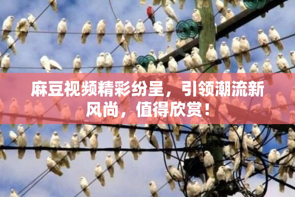麻豆视频精彩纷呈，引领潮流新风尚，值得欣赏！