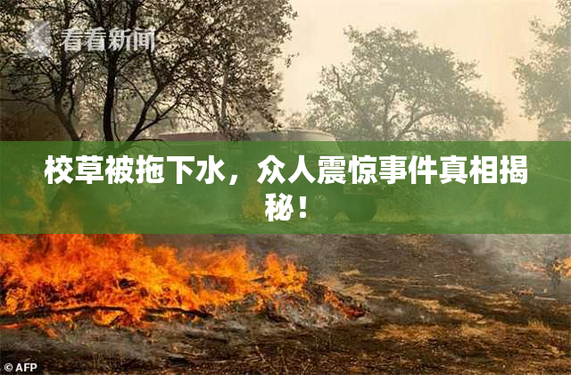 校草被拖下水，众人震惊事件真相揭秘！