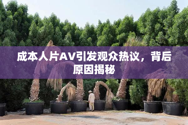 成本人片AV引发观众热议，背后原因揭秘