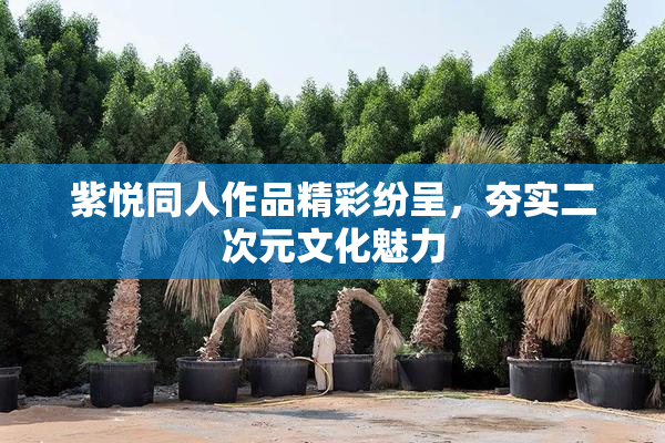 紫悦同人作品精彩纷呈，夯实二次元文化魅力