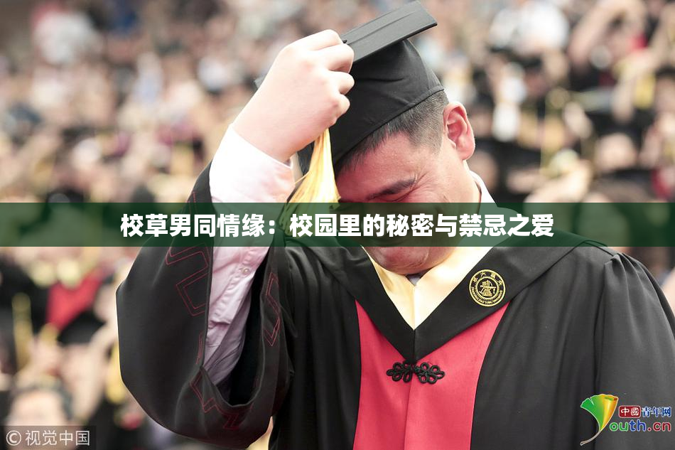 校草男同情缘：校园里的秘密与禁忌之爱