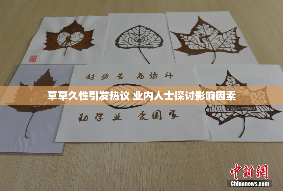 草草久性引发热议 业内人士探讨影响因素
