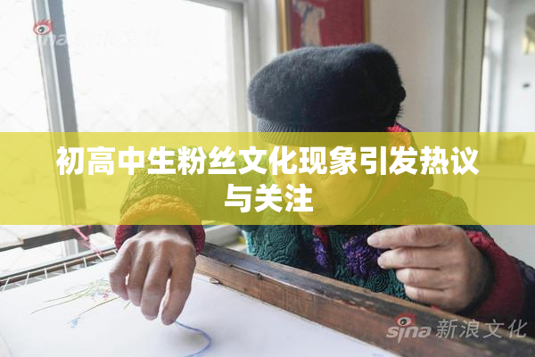 初高中生粉丝文化现象引发热议与关注