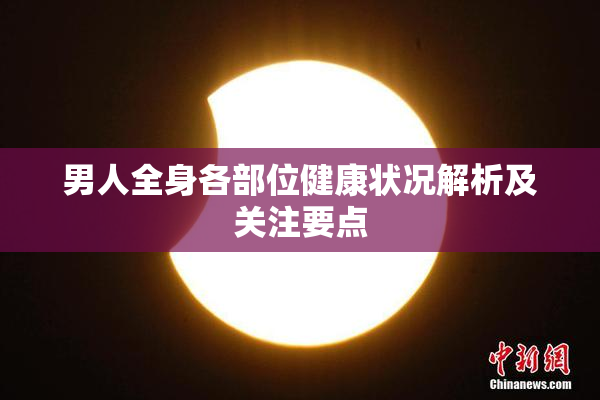 男人全身各部位健康状况解析及关注要点