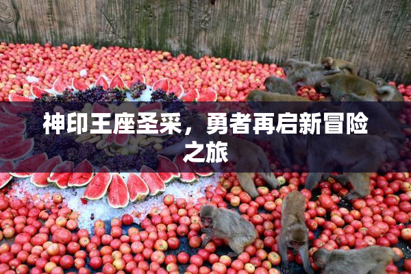 神印王座圣采，勇者再启新冒险之旅