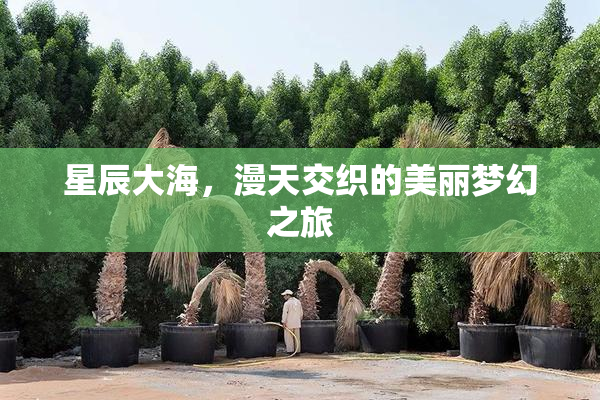 星辰大海，漫天交织的美丽梦幻之旅