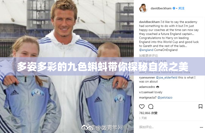 多姿多彩的九色蝌蚪带你探秘自然之美