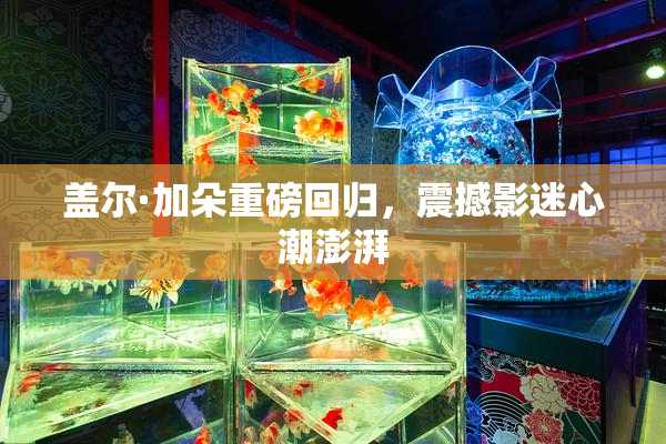 盖尔·加朵重磅回归，震撼影迷心潮澎湃