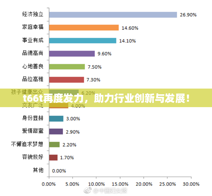 t66t再度发力，助力行业创新与发展！