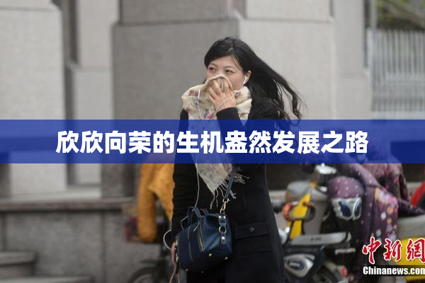 欣欣向荣的生机盎然发展之路