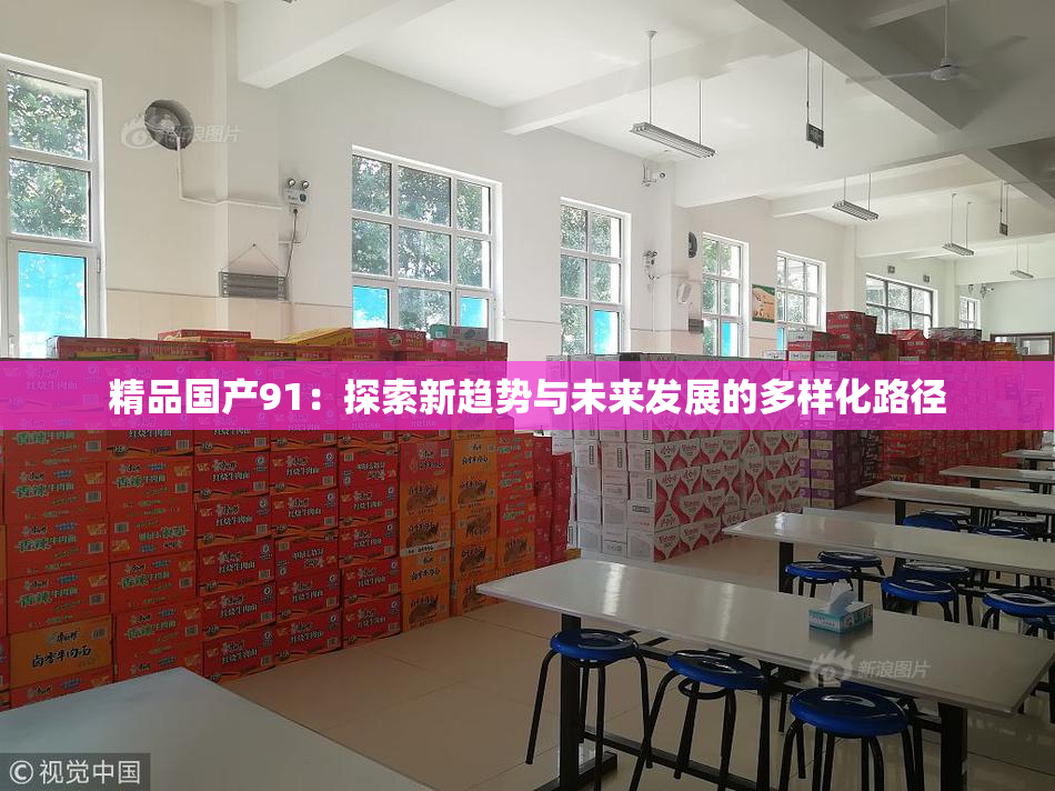精品国产91：探索新趋势与未来发展的多样化路径