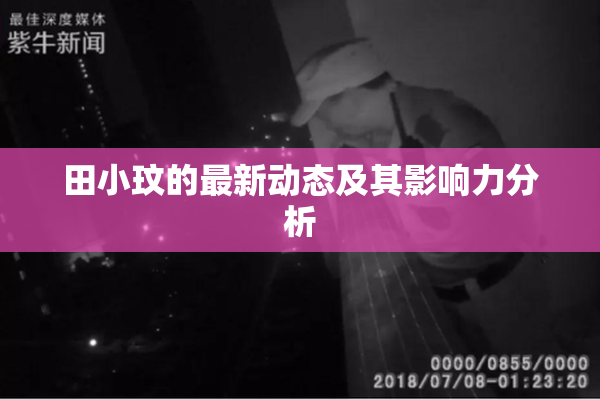 田小玟的最新动态及其影响力分析