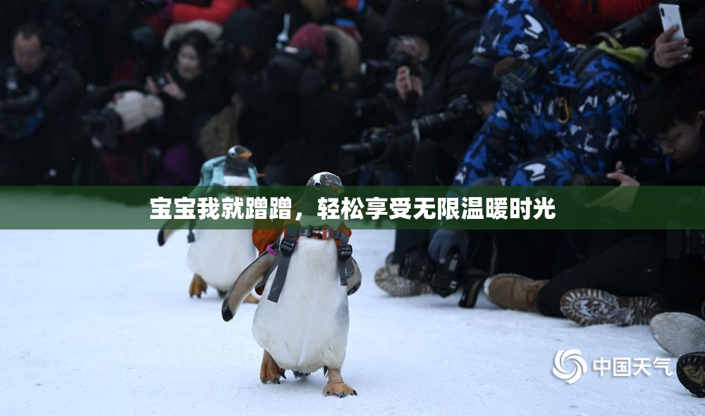 宝宝我就蹭蹭，轻松享受无限温暖时光