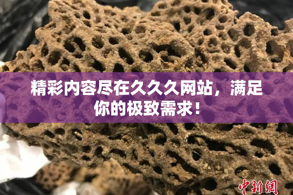 精彩内容尽在久久久网站，满足你的极致需求！