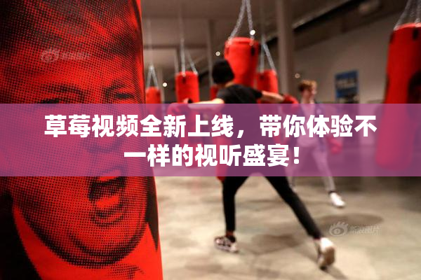 草莓视频全新上线，带你体验不一样的视听盛宴！