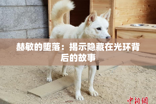 赫敏的堕落：揭示隐藏在光环背后的故事