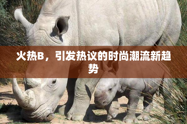 火热B，引发热议的时尚潮流新趋势