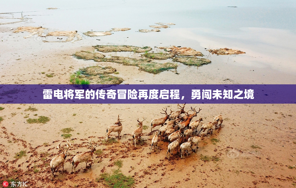 雷电将军的传奇冒险再度启程，勇闯未知之境