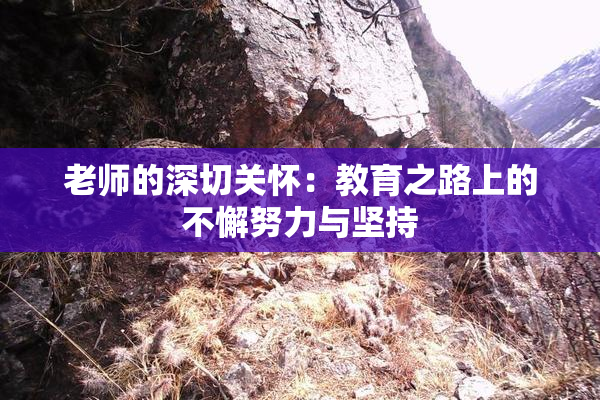 老师的深切关怀：教育之路上的不懈努力与坚持