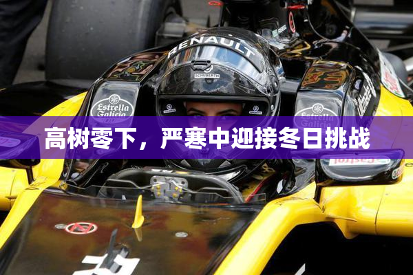 高树零下，严寒中迎接冬日挑战