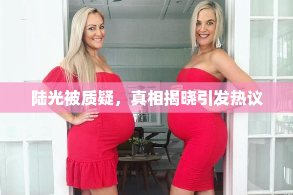 陆光被质疑，真相揭晓引发热议