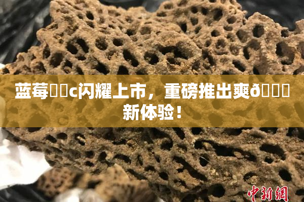蓝莓❌‌c闪耀上市，重磅推出爽🔞新体验！