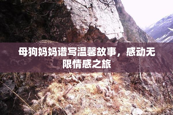 母狗妈妈谱写温馨故事，感动无限情感之旅