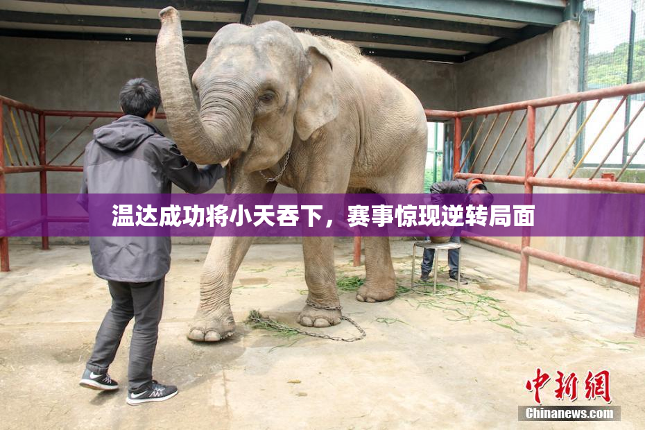 温达成功将小天吞下，赛事惊现逆转局面