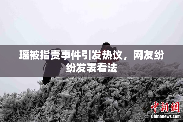 瑶被指责事件引发热议，网友纷纷发表看法