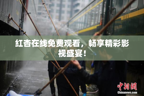 红杏在线免费观看，畅享精彩影视盛宴！