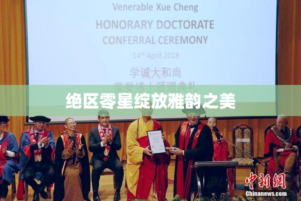 绝区零星绽放雅韵之美