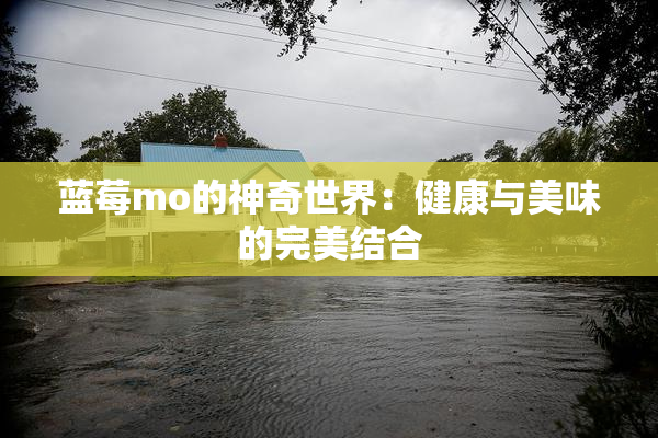 蓝莓mo的神奇世界：健康与美味的完美结合